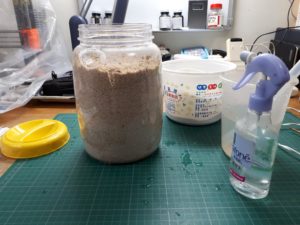 Moistening and adding sand to the ant farm